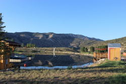 2017 FC4 SS Kidney Lung Asthma-98